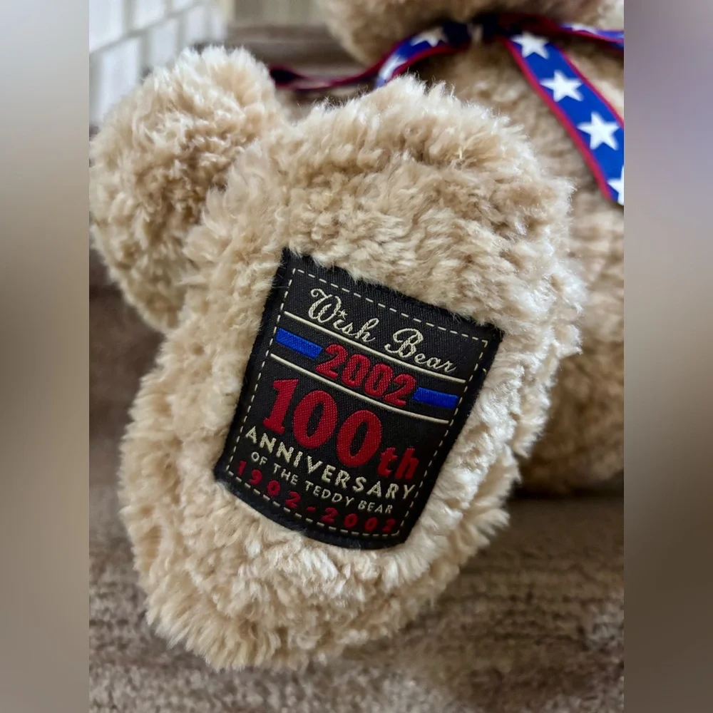 Vintage Gund 2002 Wish Bear 100th Anniversary Large Plush Stuffed Teddy Bear Y2K